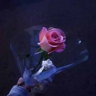 独家评论：库里超越乔丹是早晚的事